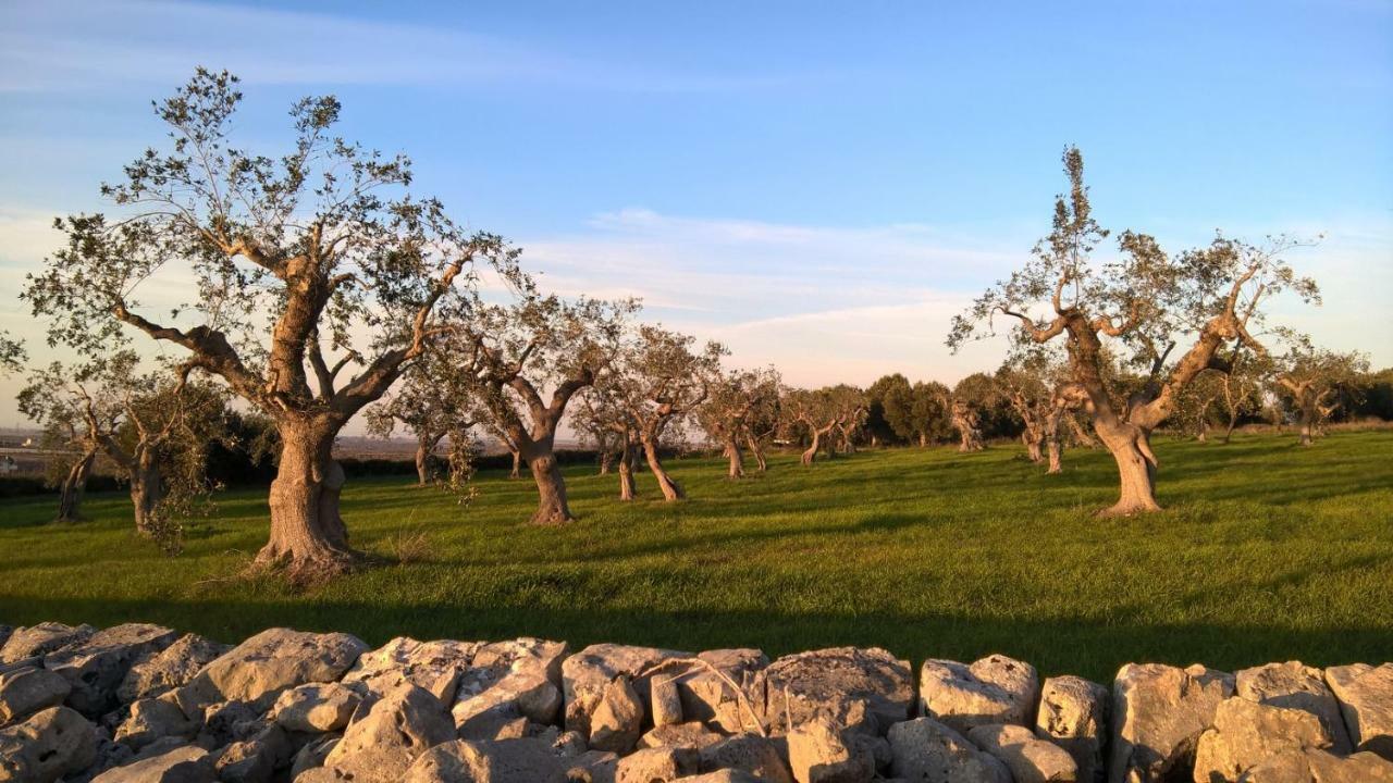 Antiche Mura Apartments "Nel Cuore Della Puglia"Bivani, Cucina, Terrazzo 图里 外观 照片